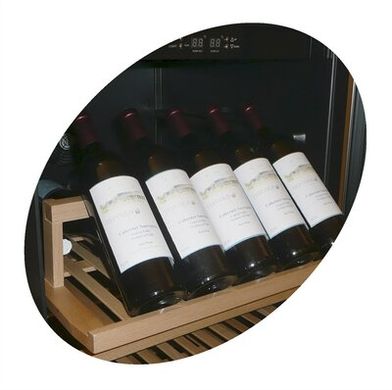 Шкаф для вина Tefcold TFW400-2F