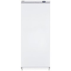 Холодильна шафа Frosty FTD600, 600, 1 дверь, Глухая, Фарбований, Динамічне